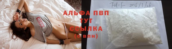 круглые Осинники