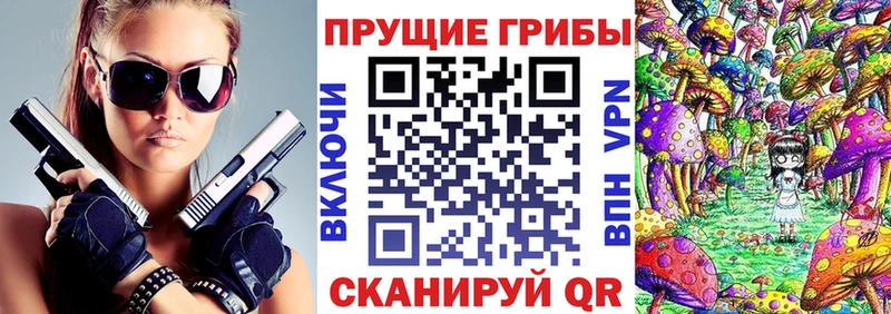 ОМГ ОМГ зеркало  наркотики  Озёрск  Псилоцибиновые грибы MAGIC MUSHROOMS 